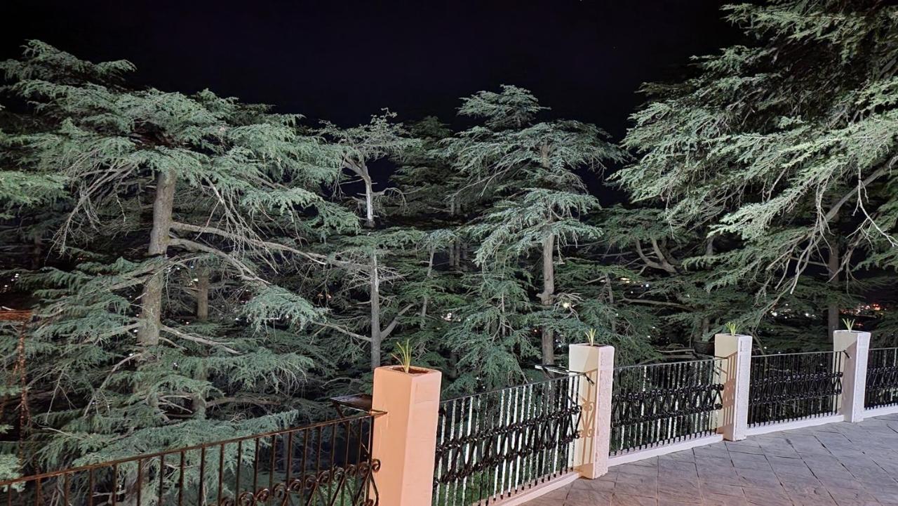 Glen View Heritage Homestay Shimla Bagian luar foto