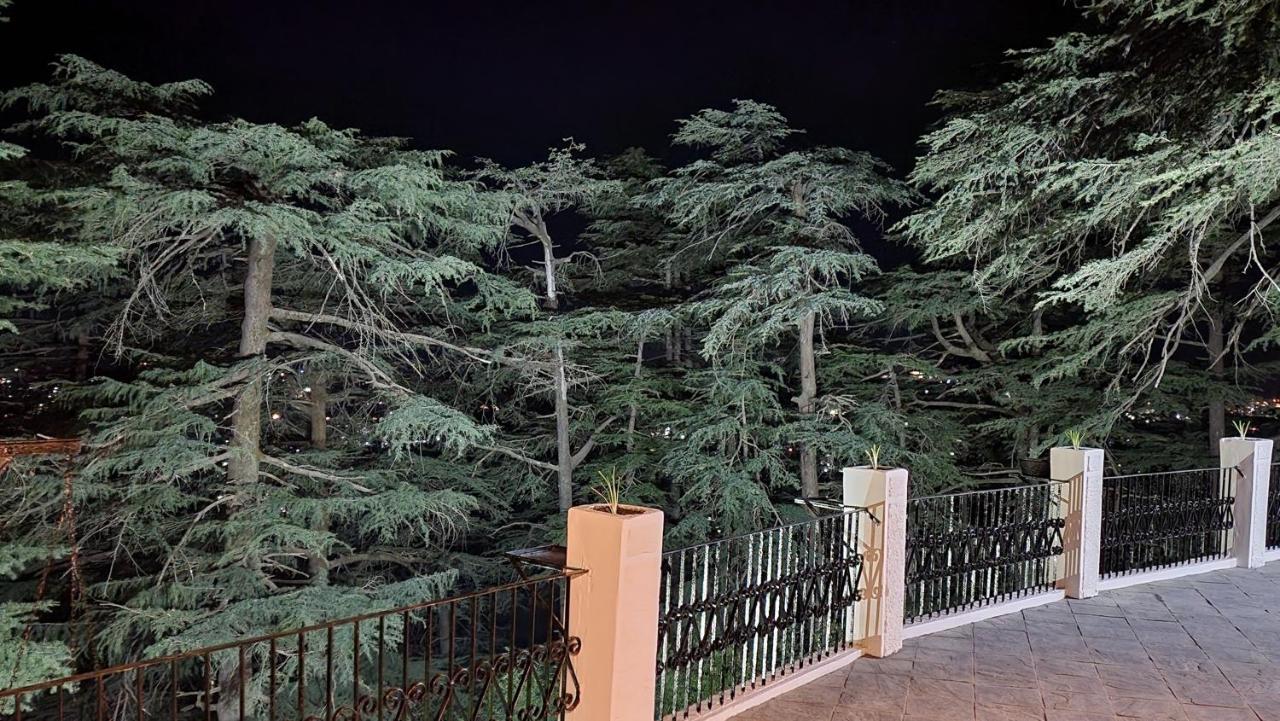 Glen View Heritage Homestay Shimla Bagian luar foto