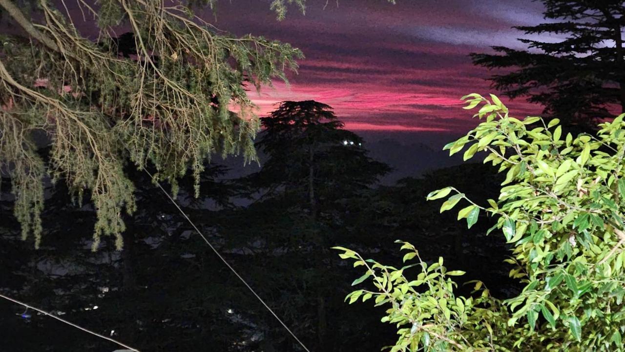 Glen View Heritage Homestay Shimla Bagian luar foto