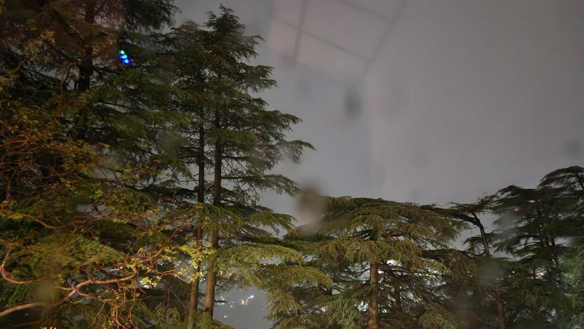 Glen View Heritage Homestay Shimla Bagian luar foto