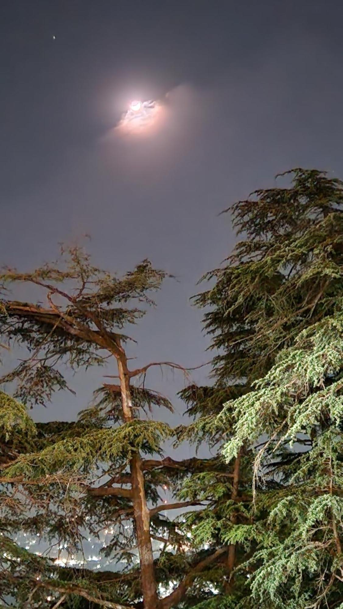 Glen View Heritage Homestay Shimla Bagian luar foto