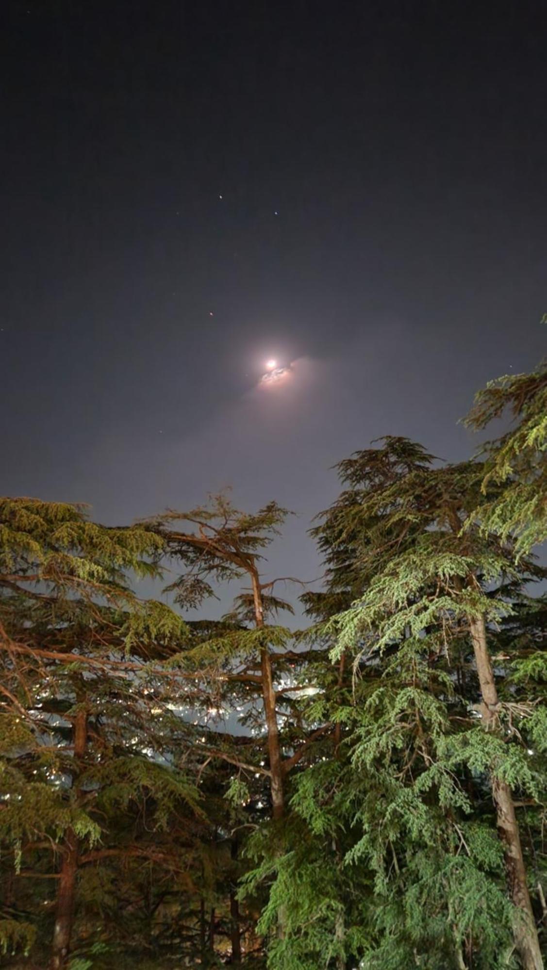 Glen View Heritage Homestay Shimla Bagian luar foto